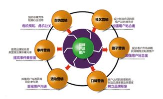 網絡市場營銷策劃的特點與要義